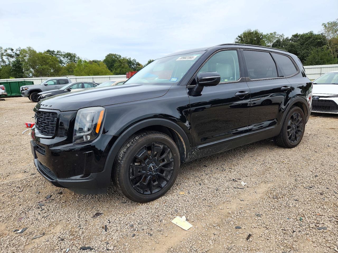 2022 Kia Telluride VIN 5XYP3DHC1NG204206 — COPART salvage auction photo