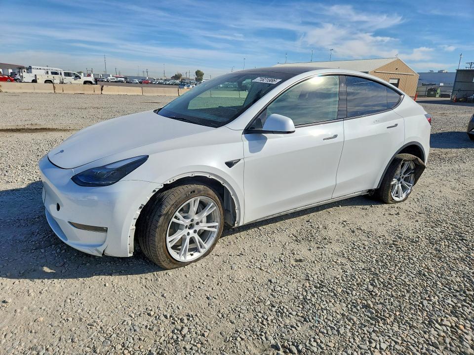 2023 Tesla Model y VIN 7SAYGDEE8PF713169 — COPART salvage auction photo