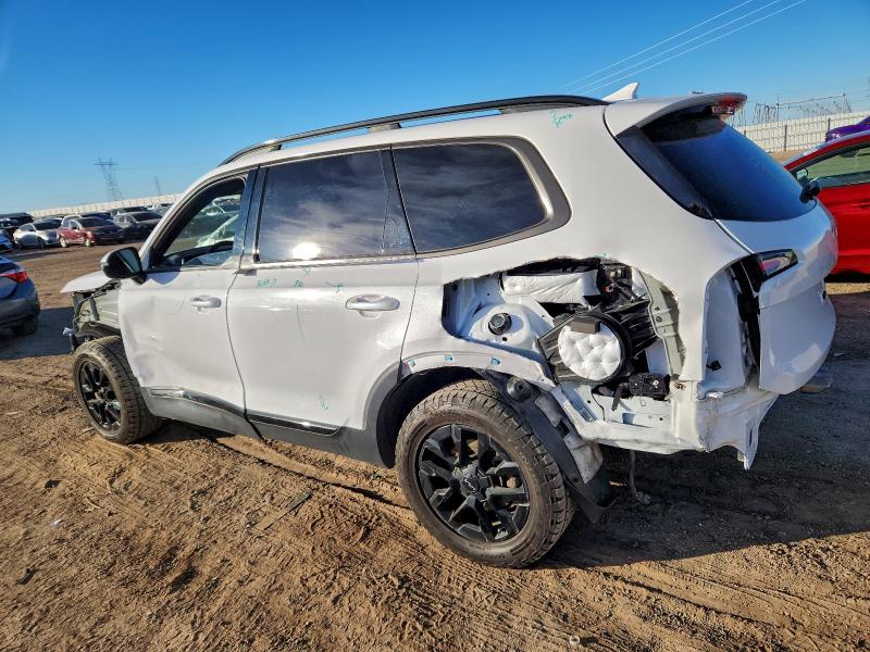 2024 Kia Telluride VIN 5XYP5DGC9RG421231 COPART salvage auction — SIDE, Salvage Title, sold $10,400 on 2026-08-31 (photo 2)