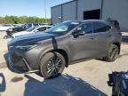 2024 LEXUS NX 250 BAS VIN 2T2ADCAZ5RC008083 — COPART salvage auction photo