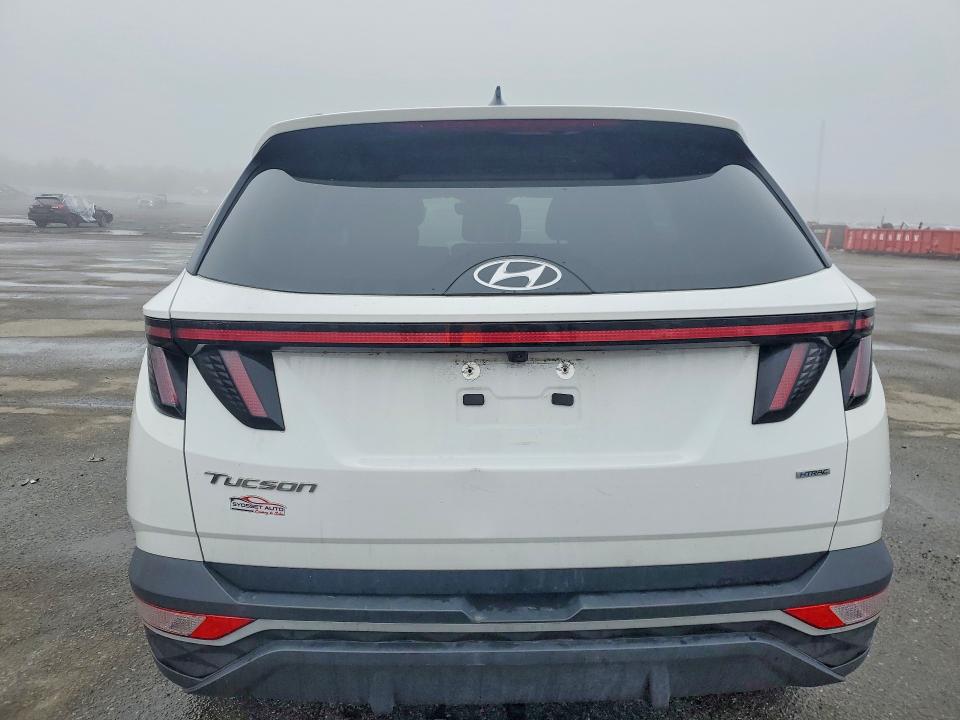 2024 Hyun Tucson VIN 5NMJFCDE9RH314835 COPART salvage auction — SIDE, NY - MV907A-PARTS ONLY, sold $1,300 on 2026-07-19 (photo 6)