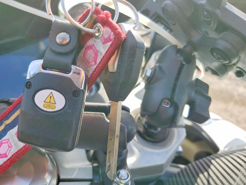 2025 Cf moto All other VIN LCEPESLA0S6002699 COPART salvage auction — SIDE, SC, sold $1,100 on 2026-07-23 (photo 8)