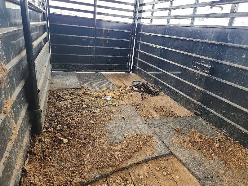 2022 East texas VIN 58SBL1627NE030458 COPART salvage auction — MINOR DENT/SCRATCHES, CT, sold $3,950 on 2026-07-10 (photo 9)