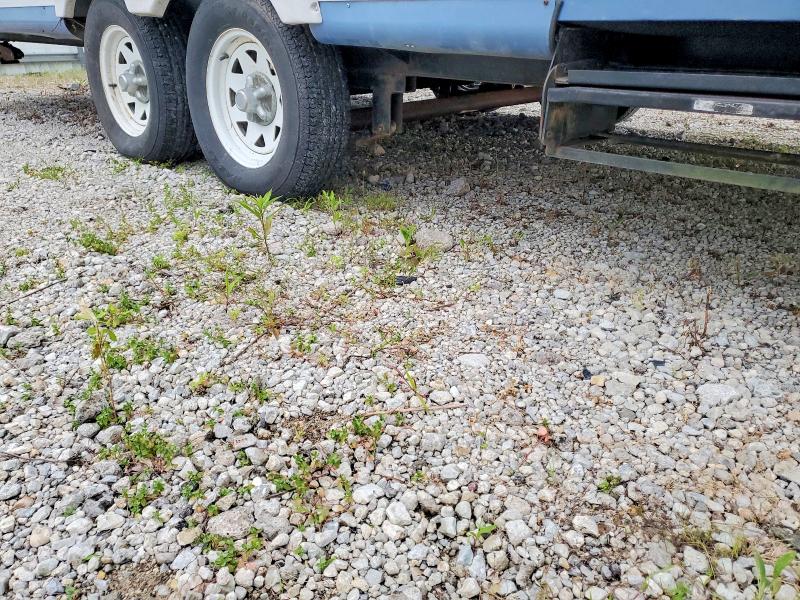 2005 Jayco Rv trailer VIN 1UJBJ02P751EN1950 COPART salvage auction — MINOR DENT/SCRATCHES, IN - CERT OF TITLE-SALVAGE TITLE, sold $40 on 2026-07-30 (photo 8)
