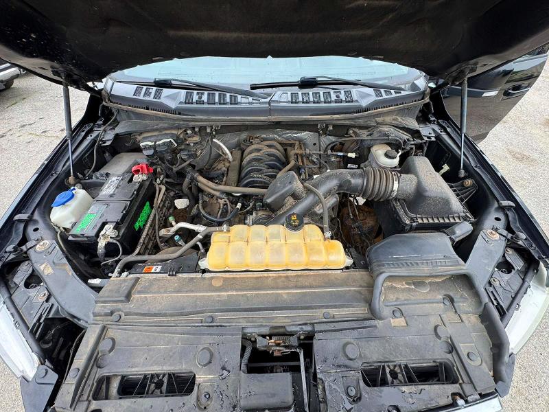 2017 Ford F150 VIN 1FTEW1EF0HFA91903 COPART salvage auction — NORMAL WEAR, WV - CERTIFICATE OF TITLE (P), sold $8,500 on 2026-07-27 (photo 7)