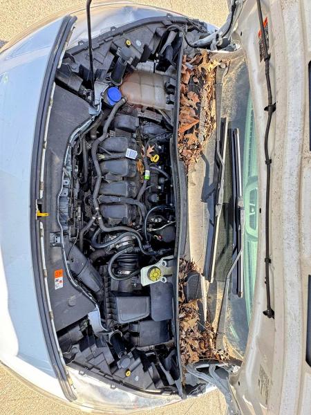 2020 Ford Transit VIN NM0LS7E24L1472742 COPART salvage auction — NORMAL WEAR, Nj - Certificate Of Title (P), sold $5,400 on 2026-07-31 (photo 7)