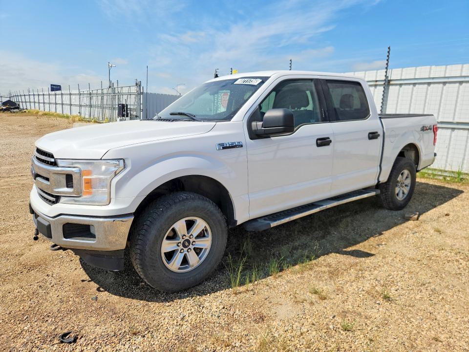 2019 Ford F150 VIN 1FTEW1E46KFB05017 — COPART salvage auction photo