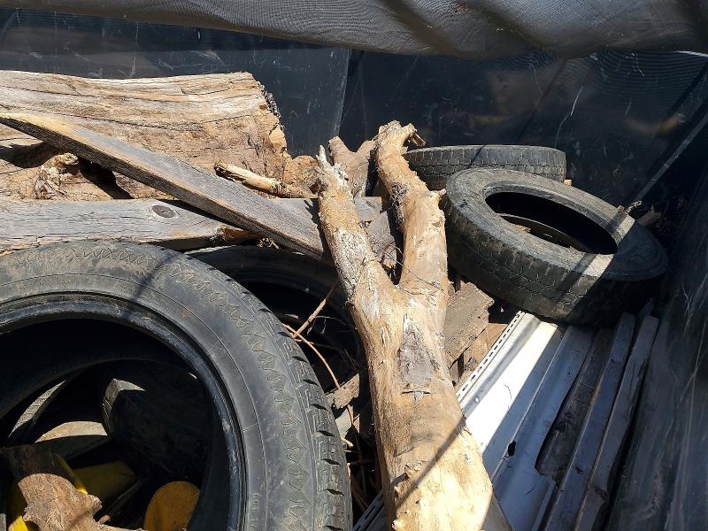 2025 Lamar Unknown VIN 5RVGB1422SP141310 COPART salvage auction — NORMAL WEAR, TN - CERTIFICATE OF TITLE (P), sold $10,000 on 2026-07-24 (photo 5)