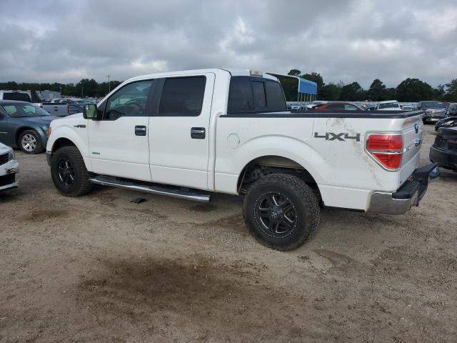2014 Ford F-150 VIN 1FTFW1ET3EKE00700 COPART salvage auction — SIDE, AL - JUNK CANCELLATION, sold $2,000 on 2026-07-02 (photo 2)
