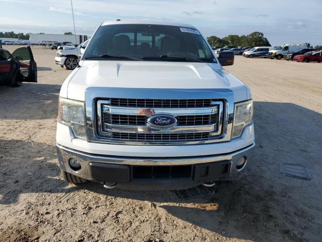 2014 Ford F-150 VIN 1FTFW1ET3EKE00700 COPART salvage auction — SIDE, AL - JUNK CANCELLATION, sold $2,000 on 2026-07-02 (photo 5)