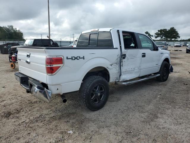 2014 Ford F-150 VIN 1FTFW1ET3EKE00700 COPART salvage auction — SIDE, AL - JUNK CANCELLATION, sold $2,000 on 2026-07-02 (photo 3)